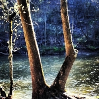Sample Image from RPO Galleries