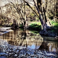 Sample Image from RPO Galleries